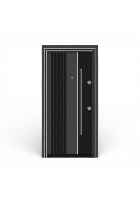 Usa metalica de exterior cu izolatie S220